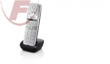 Gigaset E500 H, Mobilteil/Ladeschale, Titanium