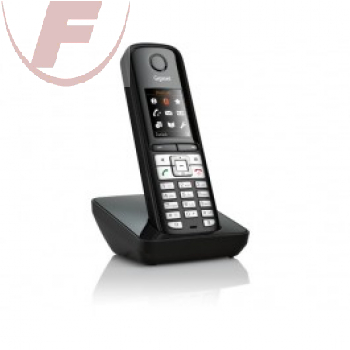 Gigaset S510H Pro, Mobilteil/Ladeschale, stahlgrau