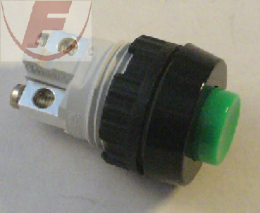 Rafi-Drucktaster Schließer 0,7A/250V grün