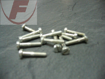 10 StückErsatzschrauben für Steckdoseneinsätze UP, M2,5x16mm verzinkt