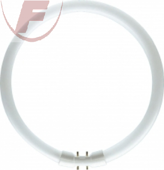 Leuchtstofflampe Ringform 55Watt, 4200lm, 4000K, Ø 300mm - 2GX13