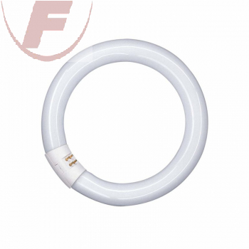 Leuchtstofflampe Ringform 22Watt, 1300lm, 6500K, Ø 216 mm T9 - G10q (4-Pin innen