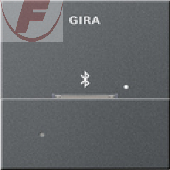 GIRA System 55 Dockingstation Apple 30Pin anthrazit 228628