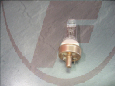 Halogenlampe G17t / 500Watt / 240Volt / OSRAM 93595