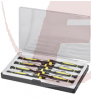 Werkzeugset 8 teilig, Torx T5, T6, T7, Schlitz 2+3mm, Kreuz 3mm, U-Form Schraube