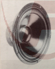 W 250 S - 8 Ohm, 25 cm (10") HiFi-Tieftöner